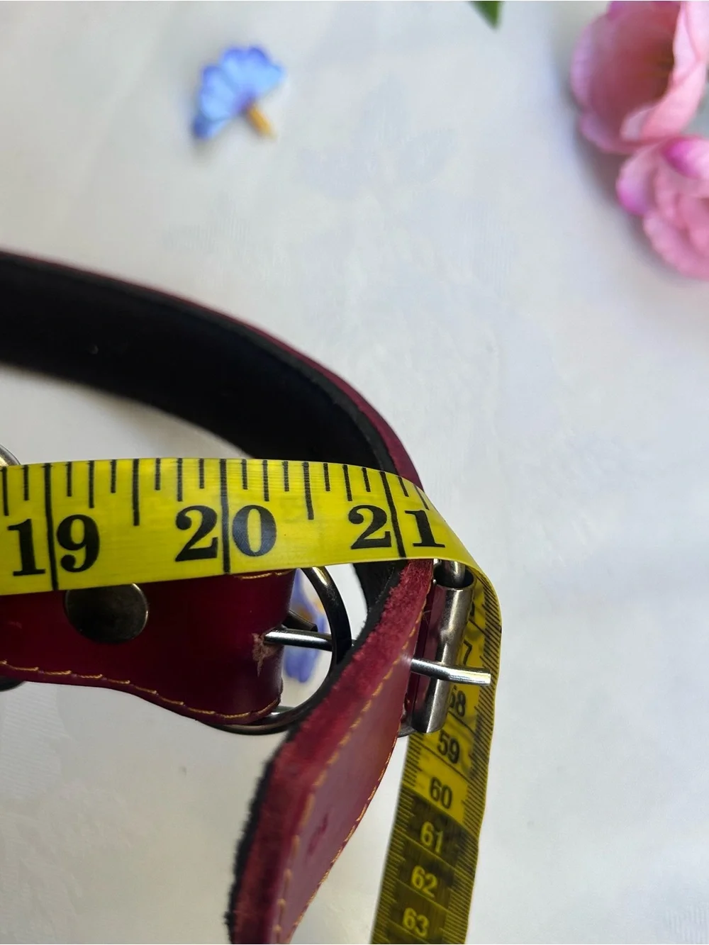Leather Dog Collar Burgundy Red Adjustable 15-21